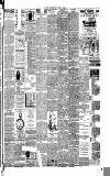 Weekly Irish Times Saturday 06 January 1894 Page 7