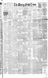 Weekly Irish Times Saturday 20 July 1895 Page 1