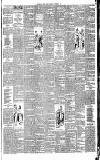 Weekly Irish Times Saturday 02 November 1895 Page 3