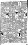Weekly Irish Times Saturday 21 December 1895 Page 3