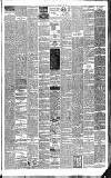 Weekly Irish Times Saturday 13 June 1896 Page 7