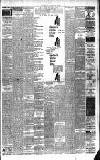 Weekly Irish Times Saturday 25 July 1896 Page 7