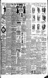 Weekly Irish Times Saturday 10 July 1897 Page 7