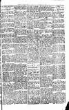 Weekly Irish Times Saturday 14 October 1899 Page 13