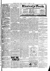 Weekly Irish Times Saturday 14 October 1899 Page 17