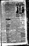 Weekly Irish Times Saturday 06 January 1900 Page 19