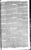 Weekly Irish Times Saturday 24 February 1900 Page 13