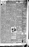 Weekly Irish Times Saturday 29 December 1900 Page 19