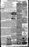 Weekly Irish Times Saturday 09 February 1901 Page 23