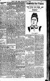 Weekly Irish Times Saturday 17 May 1902 Page 17