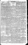 Weekly Irish Times Saturday 19 July 1902 Page 11