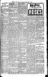 Weekly Irish Times Saturday 06 September 1902 Page 17