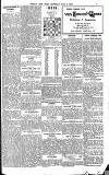 Weekly Irish Times Saturday 02 July 1904 Page 7