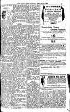 Weekly Irish Times Saturday 25 February 1905 Page 21