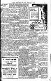 Weekly Irish Times Saturday 25 February 1905 Page 23