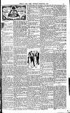 Weekly Irish Times Saturday 18 March 1905 Page 3