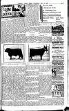 Weekly Irish Times Saturday 02 May 1908 Page 19