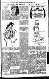 Weekly Irish Times Saturday 04 September 1909 Page 17