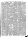 Cornish & Devon Post Saturday 29 December 1877 Page 8