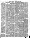Cornish & Devon Post Saturday 17 August 1878 Page 3