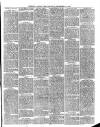Cornish & Devon Post Saturday 14 September 1878 Page 3
