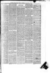 Cornish & Devon Post Saturday 03 January 1880 Page 3
