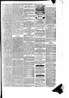 Cornish & Devon Post Saturday 31 January 1880 Page 3