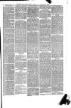 Cornish & Devon Post Saturday 31 January 1880 Page 7