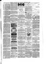 Cornish & Devon Post Saturday 21 February 1880 Page 3