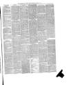 Cornish & Devon Post Saturday 09 April 1881 Page 3