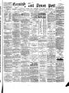 Cornish & Devon Post Saturday 11 February 1882 Page 1