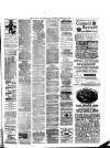 Cornish & Devon Post Saturday 11 February 1882 Page 5