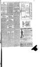 Cornish & Devon Post Saturday 17 March 1894 Page 9