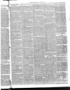 Launceston Weekly News, and Cornwall & Devon Advertiser. Saturday 09 January 1864 Page 8
