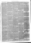 Launceston Weekly News, and Cornwall & Devon Advertiser. Saturday 10 December 1864 Page 7