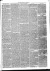 Launceston Weekly News, and Cornwall & Devon Advertiser. Saturday 24 December 1864 Page 7