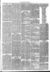 Launceston Weekly News, and Cornwall & Devon Advertiser. Saturday 13 May 1865 Page 3