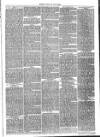 Launceston Weekly News, and Cornwall & Devon Advertiser. Saturday 06 January 1866 Page 3