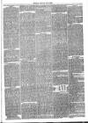 Launceston Weekly News, and Cornwall & Devon Advertiser. Saturday 13 October 1866 Page 3