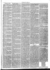 Launceston Weekly News, and Cornwall & Devon Advertiser. Saturday 15 December 1866 Page 3