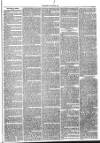 Launceston Weekly News, and Cornwall & Devon Advertiser. Saturday 29 December 1866 Page 3