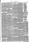 Launceston Weekly News, and Cornwall & Devon Advertiser. Saturday 29 December 1866 Page 5