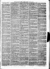 Launceston Weekly News, and Cornwall & Devon Advertiser. Saturday 06 March 1875 Page 7