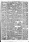 Launceston Weekly News, and Cornwall & Devon Advertiser. Saturday 01 January 1876 Page 7