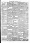 Launceston Weekly News, and Cornwall & Devon Advertiser. Saturday 08 July 1876 Page 3