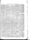 Launceston Weekly News, and Cornwall & Devon Advertiser. Saturday 03 March 1877 Page 7
