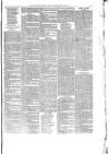 Launceston Weekly News, and Cornwall & Devon Advertiser. Saturday 24 March 1877 Page 7