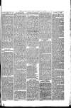 Launceston Weekly News, and Cornwall & Devon Advertiser. Saturday 09 June 1877 Page 7