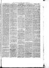 Launceston Weekly News, and Cornwall & Devon Advertiser. Saturday 20 October 1877 Page 7
