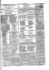 Sligo Observer Thursday 13 November 1828 Page 3